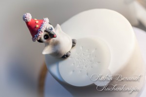 Kuchenkönigin Cake Stencil Tutorial Kuchen Dekorieren Backen Torte Schneeflocken Pinguin Winter Eis Ice