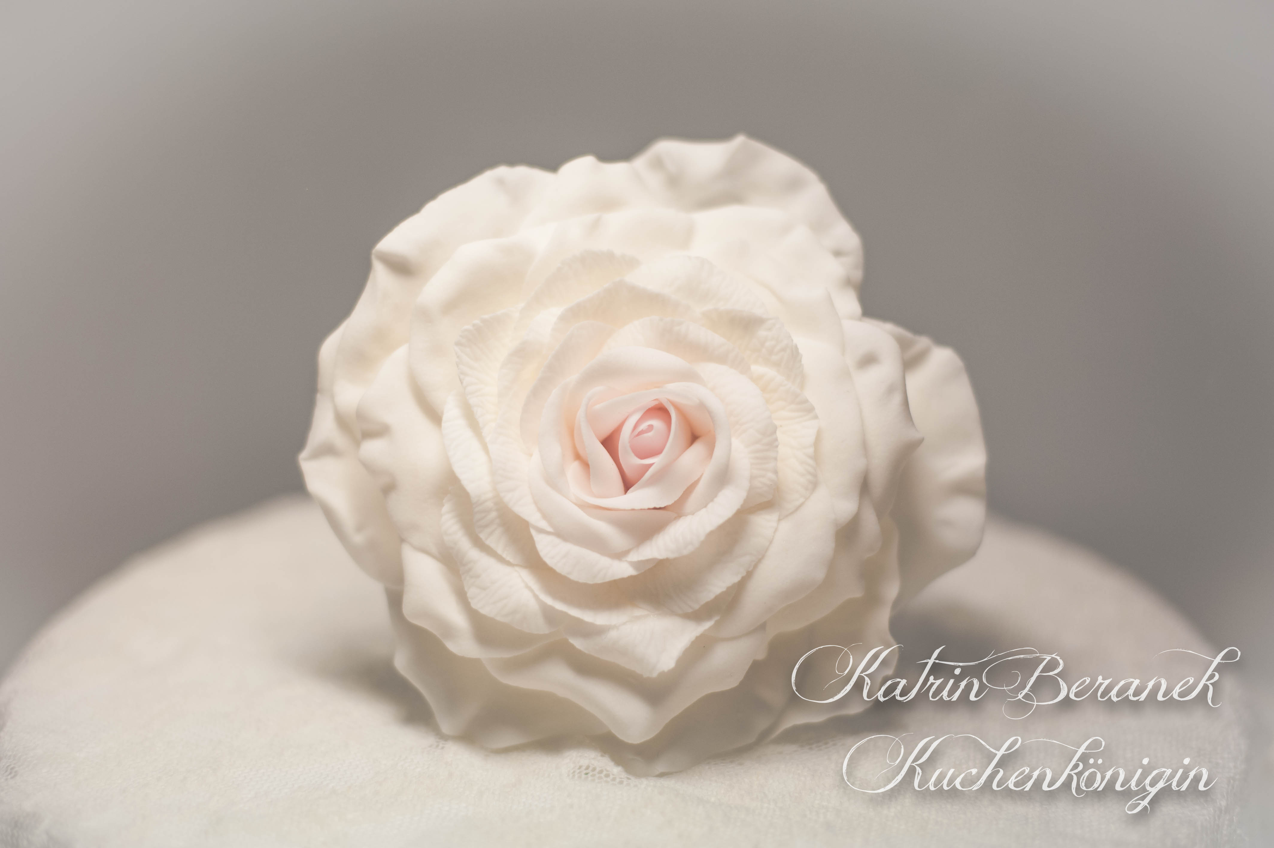 Zuckerblüten Tutorials - Kuchenkönigin